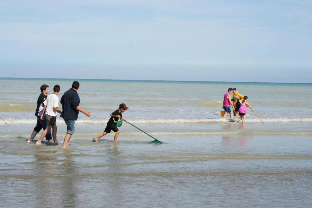 "Le Juguili" 46M2 En Front De Mer - 4 Personnes - Animaux Ok - Entierement Renove - Haut De Gamme - Wifi Mers-les-Bains Zewnętrze zdjęcie