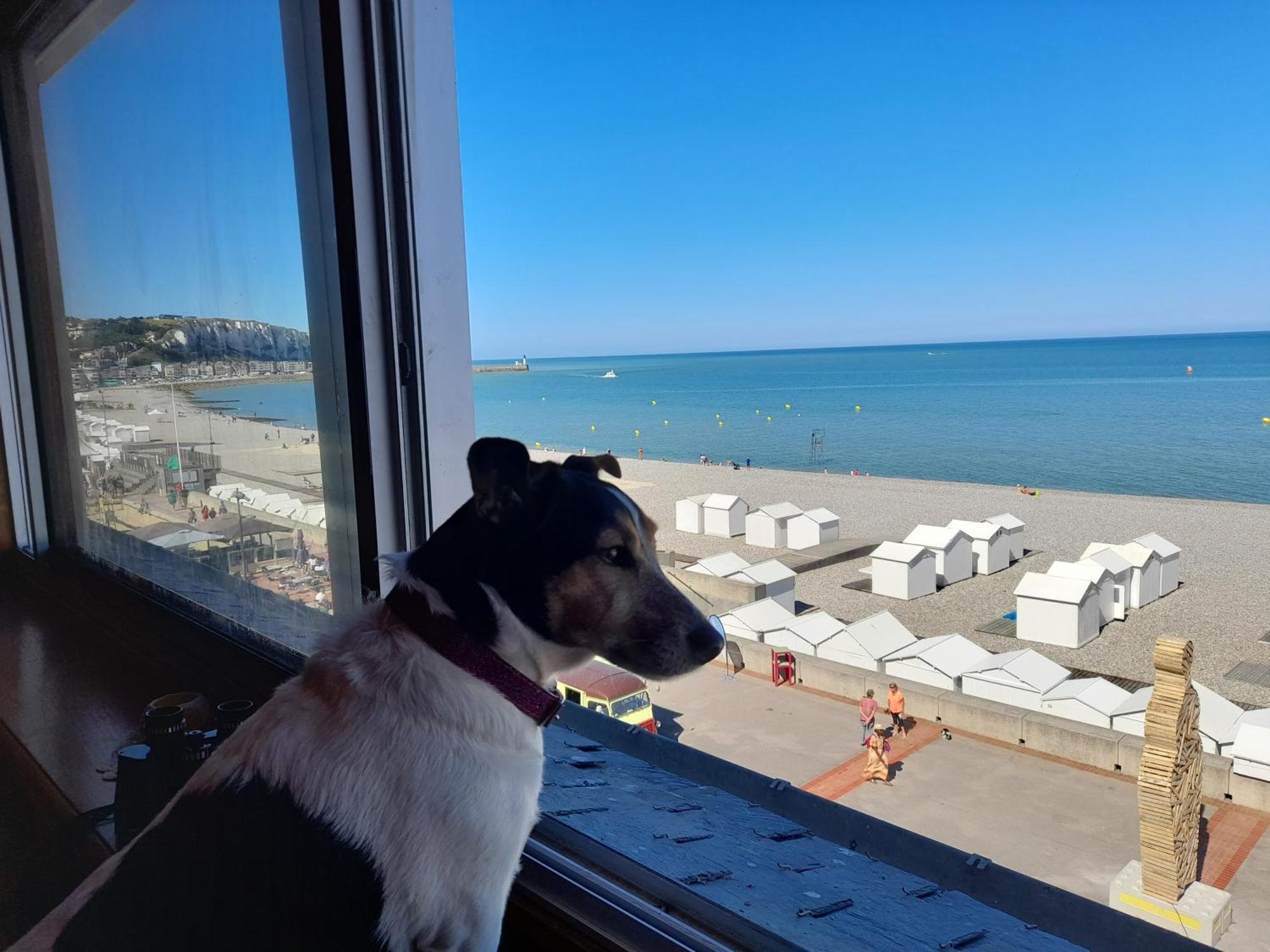 "Le Juguili" 46M2 En Front De Mer - 4 Personnes - Animaux Ok - Entierement Renove - Haut De Gamme - Wifi Mers-les-Bains Zewnętrze zdjęcie